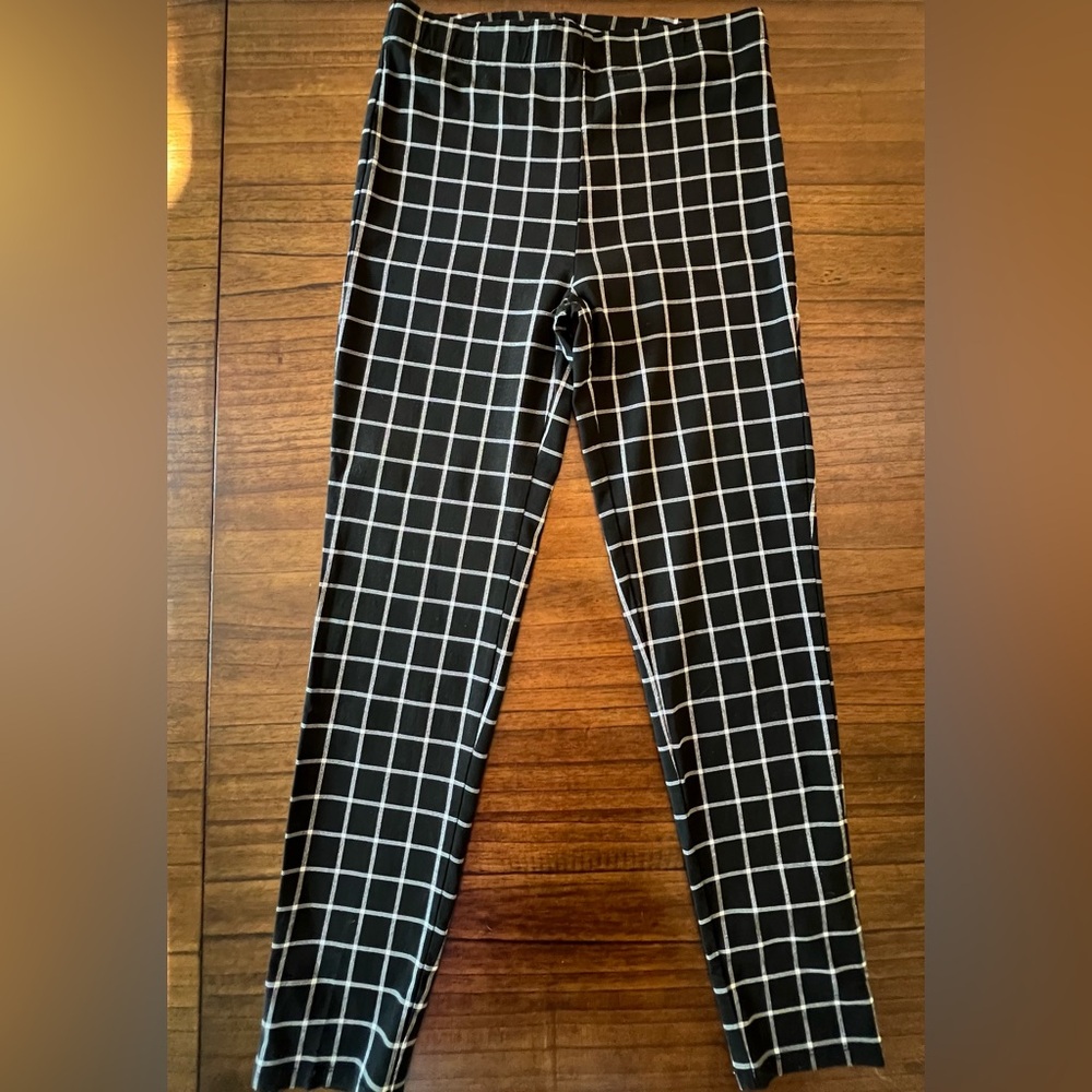 Pacsun Lined Pant